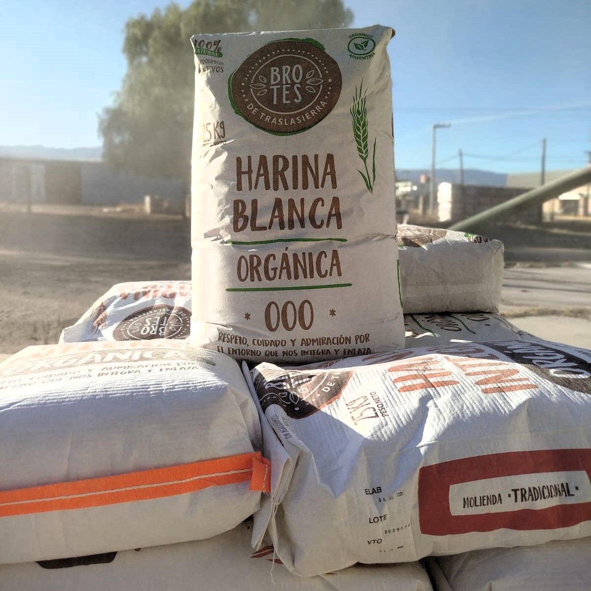 HARINA BLANCA 000 de Fuerza (1)